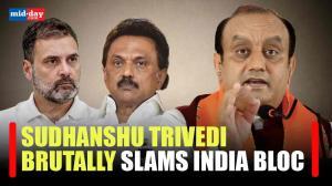BJP leader Sudhanshu Trivedi slams India Bloc over statements on PM Modi