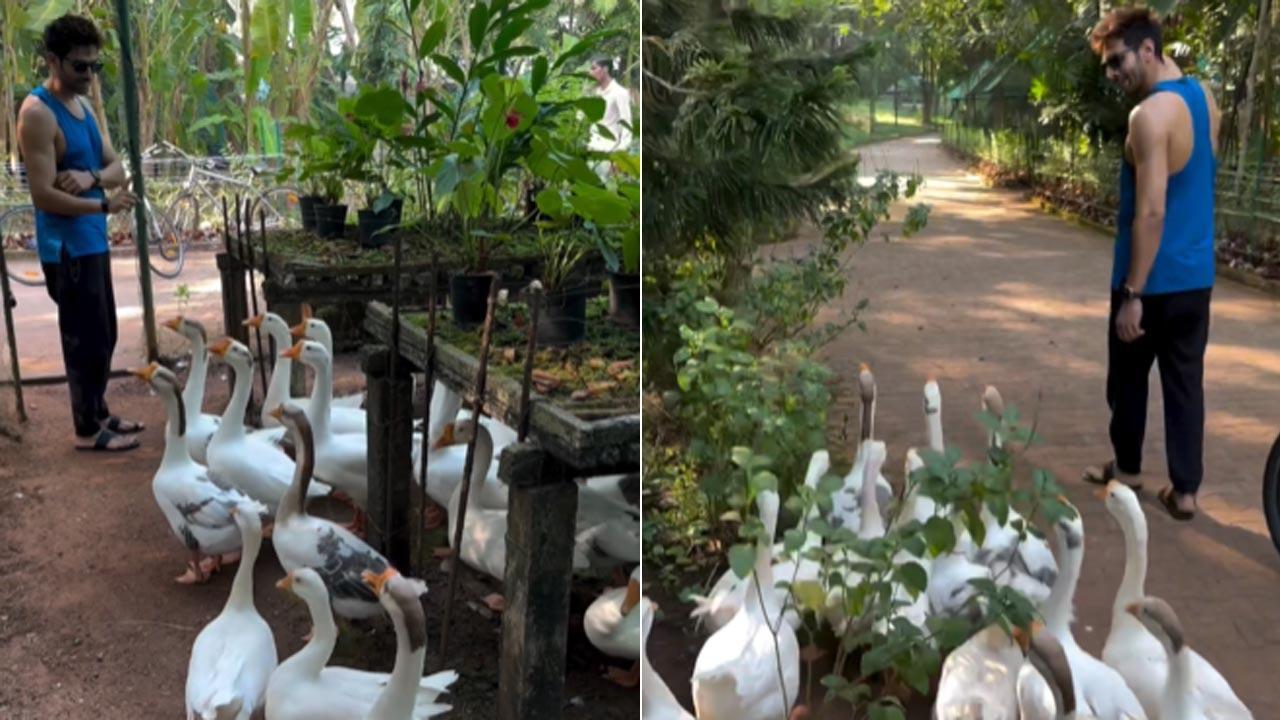 Kartik Aaryan enjoys 'Ducks Day Out' in Goa