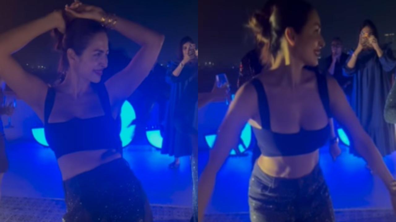 Malaika dances to 'Chaiyya Chaiyya' at 'Jhalak' wrap-up party - watch video