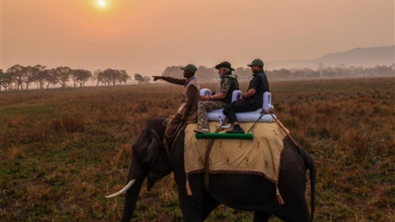 Prime Minister Modi captured the beauty of Kaziranga through photography, taking several pictures of the forest and wildlife during his tour.