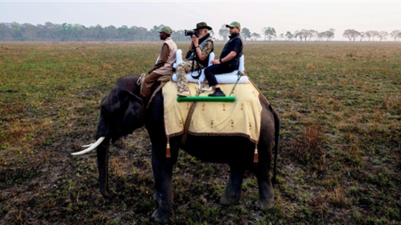 The prime minister shared his observations on X (formerly Twitter), highlighting the diverse wildlife of Kaziranga, known for its rhinos and large elephant population.