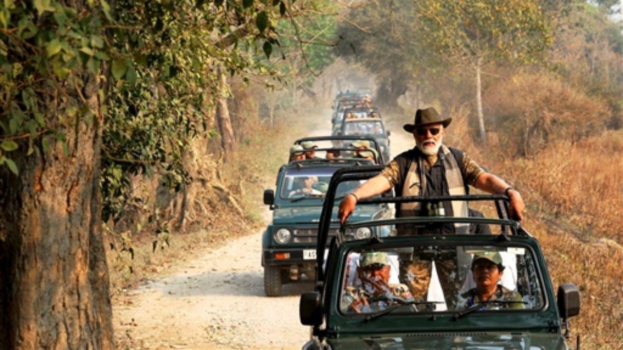 Accompanied by a convoy of 16 elephants, Modi fed sugarcane to three elephants - Lakhimai, Pradyumna, and Phoolmai - during his safari journey.