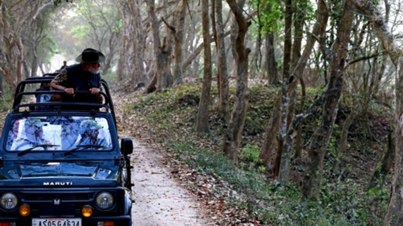 Following the elephant safari, Prime Minister Modi embarked on a jeep safari in the same forest range, stopping at the Daflang Watch Tower to witness the sanctuary's panoramic views.