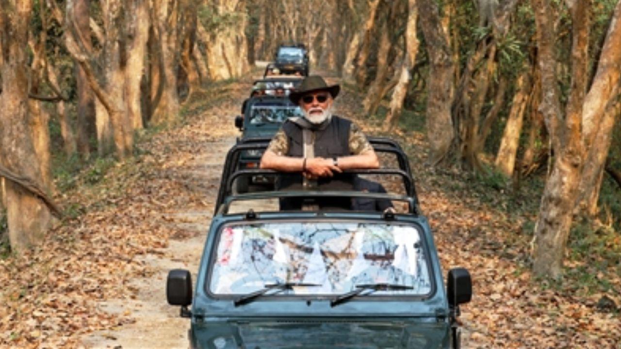 Modi commenced his wildlife adventure with an elephant safari, riding on an elephant named 'Pradyumna' through the Mihimukh area of the central Kohora range.