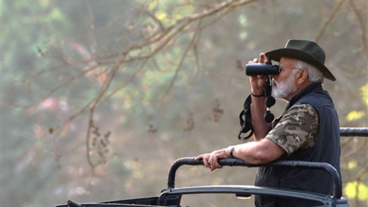 During his safari adventures, PM Modi encountered various wildlife species, including one-horned rhinoceroses, wild buffaloes, deer, and a fleeting glimpse of a tiger.