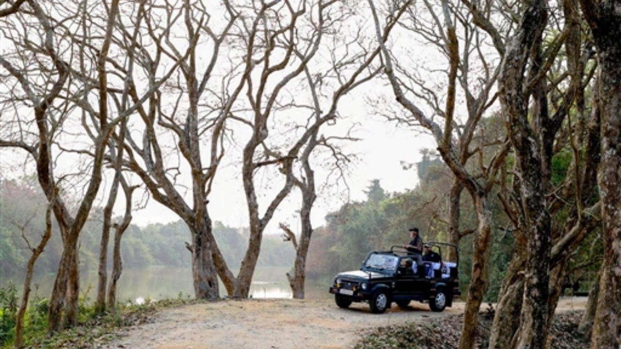In addition to his wildlife adventure, Prime Minister Modi inaugurated the 'Statue of Valour' honouring Ahom general Lachit Barphukan and inaugurated various developmental projects in Assam during his two-day visit to the state.