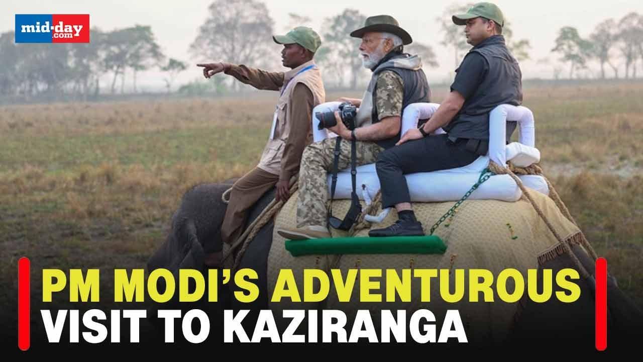 PM Modi in Assam: Take a peek into PM Modi’s adventurous visit to Kaziranga