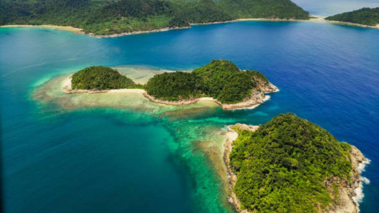 Andaman Islands: Known for its pristine coral reefs, the Andaman Islands offer divers the chance to explore vibrant underwater ecosystems with diverse marine life. The islands are also home to historic shipwrecks, adding an element of intrigue to diving expeditions. India's coral reefs, notably those found in the Gulf of Mannar and the Andaman and Nicobar Islands, play a vital role as ecosystems that sustain diverse marine creatures. Serving as homes and safe havens for various species, these reefs are also known for exhibiting bioluminescence, casting a mesmerising glow beneath the waves after dark. Representative pic/iStock 