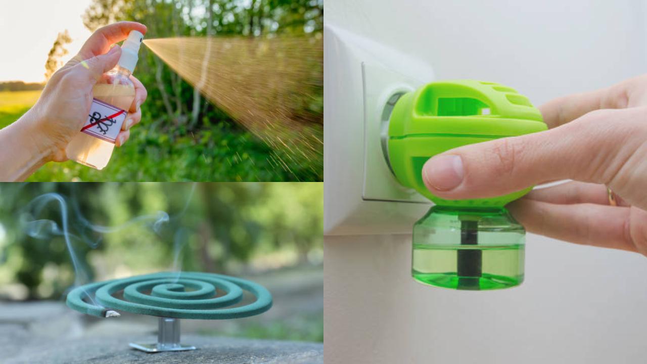 Natural and non-chemical alternatives to mosquito repellants