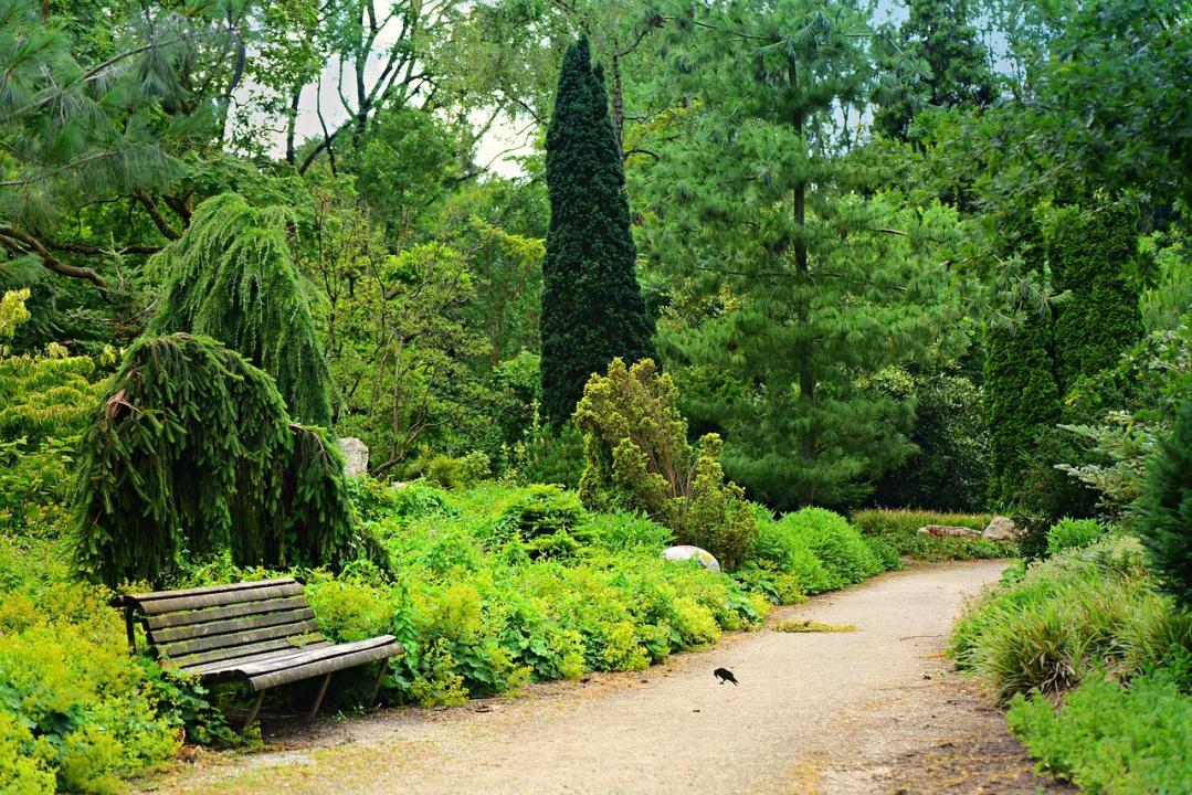 Gardens should be safe spaces for citizens