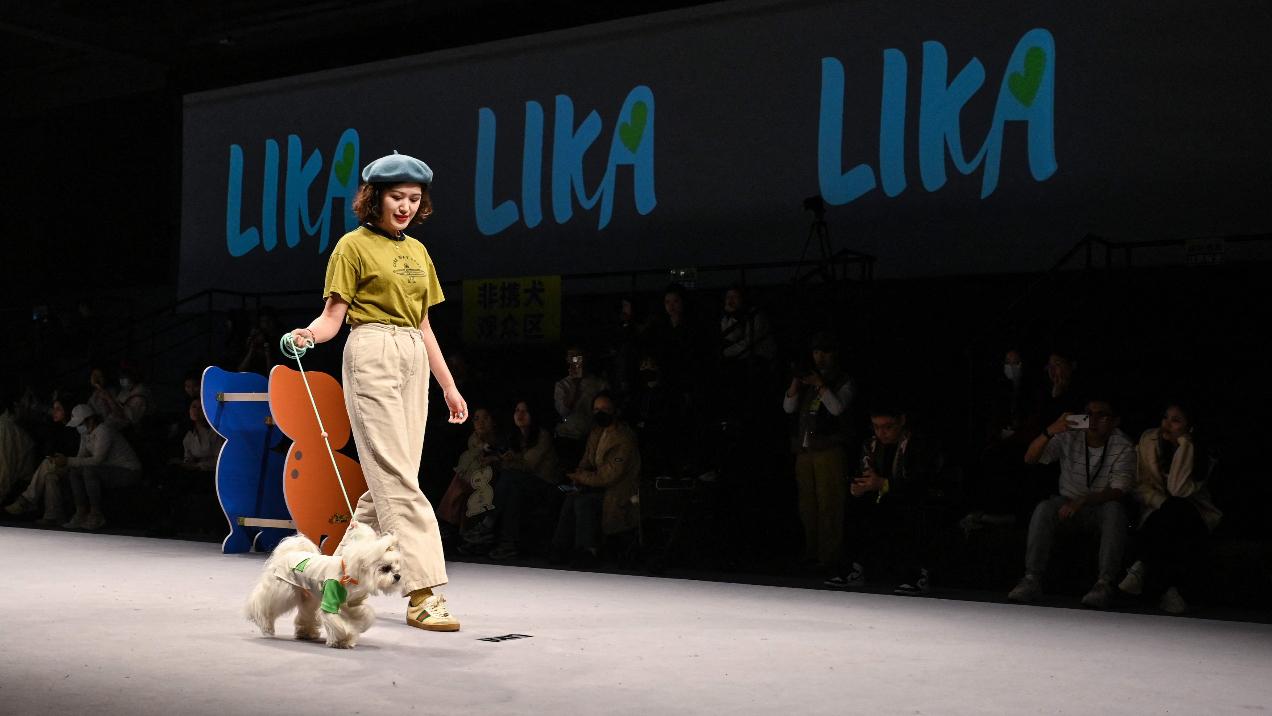 A model parades a decked-up dog down the runway, adding a touch of sophistication to the Pet Joy Fashion Week in Shanghai