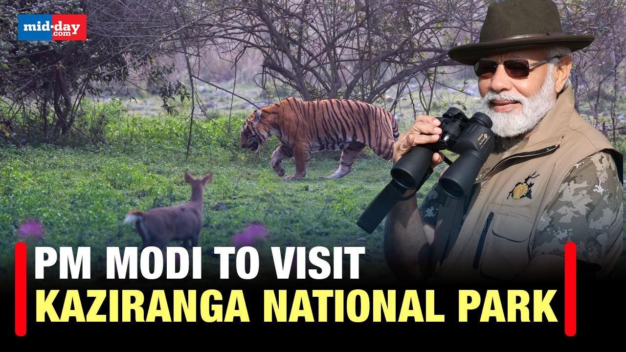 PM Modi to visit Kaziranga National Park, says Assam CM Himanta Sarma
