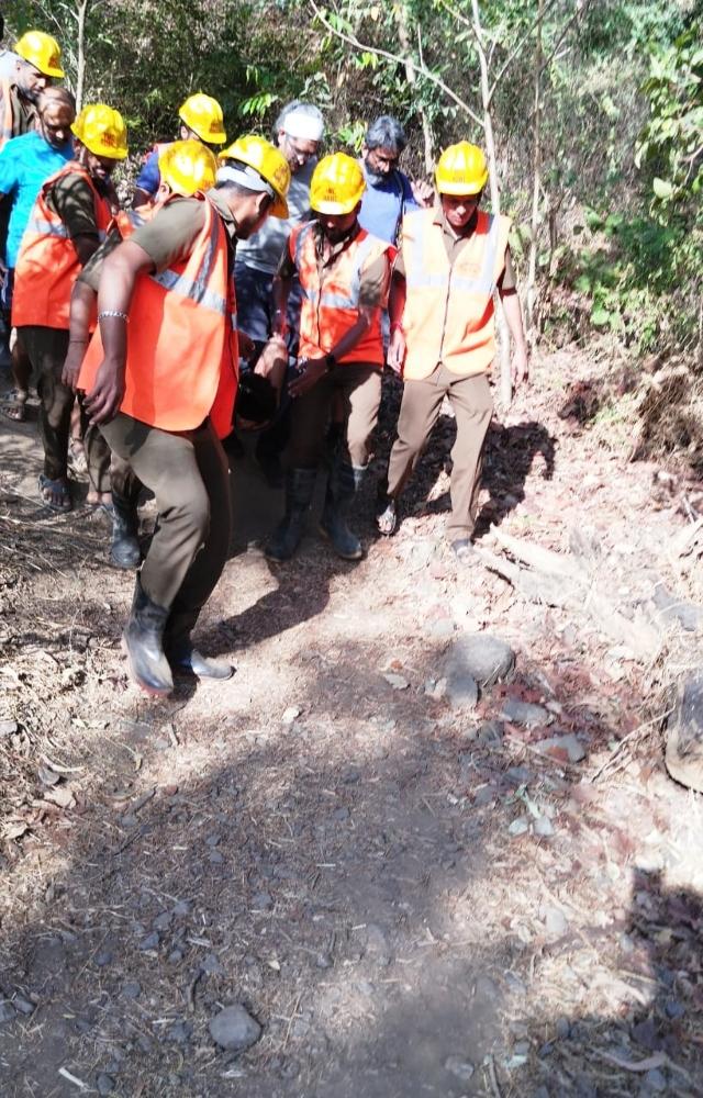 The accident took place at the Tikujiniwadi amusement park end of SGNP around 8.30 am, an official said