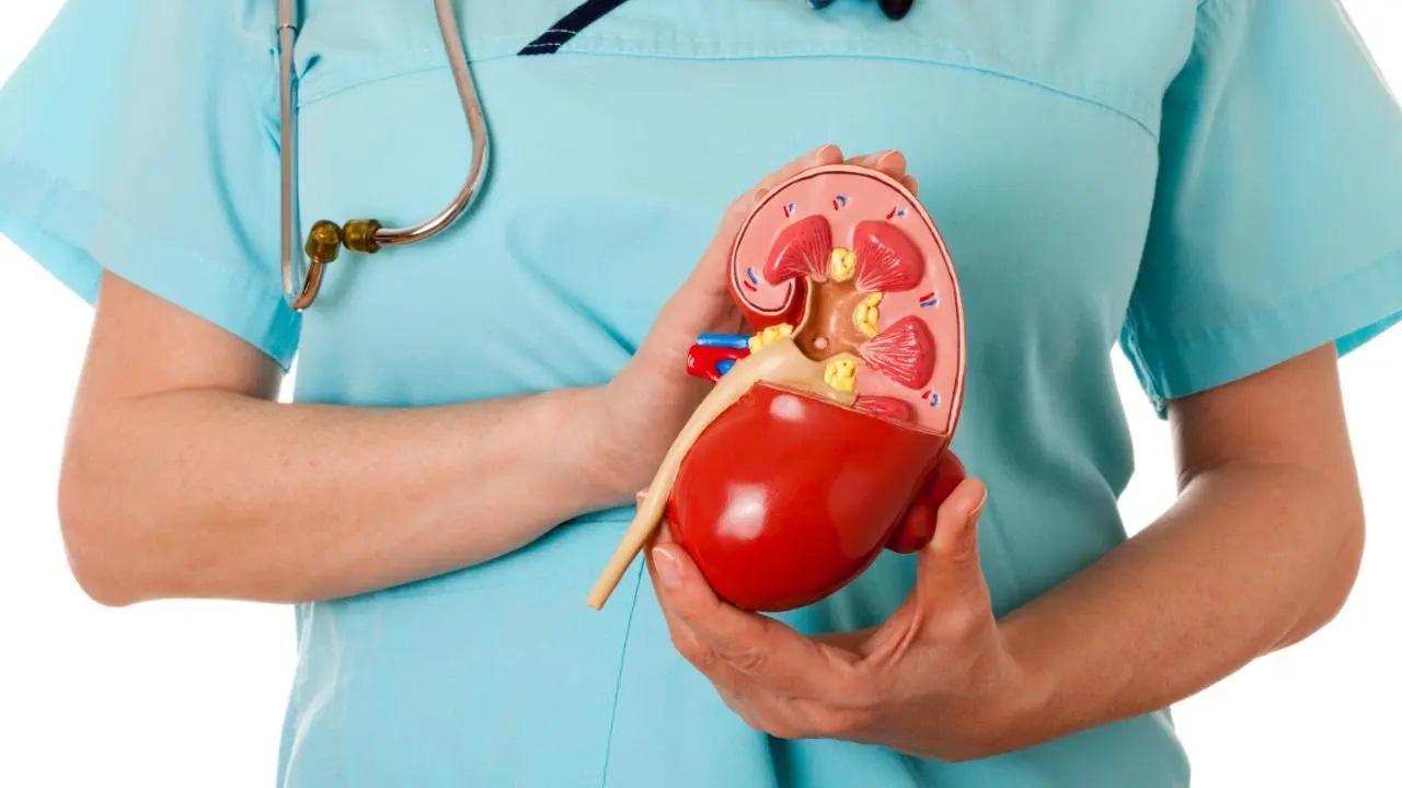 World Kidney Day 2024: All you need to know about chronic kidney disease