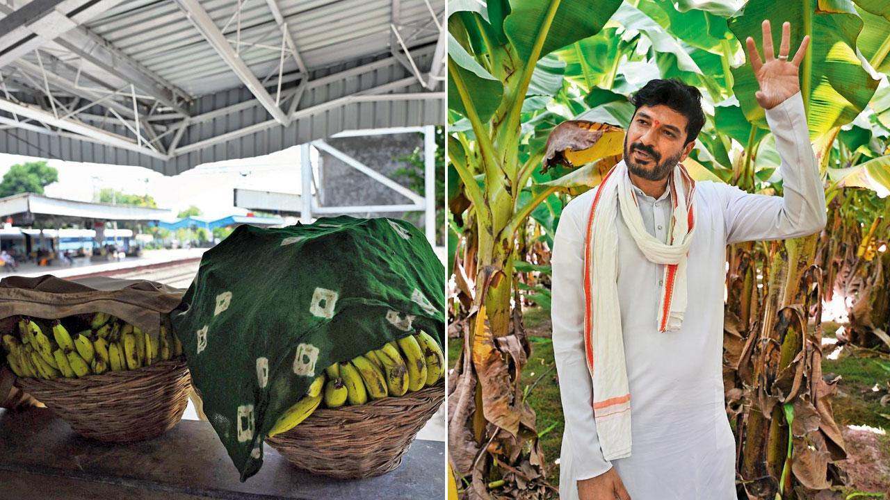 Lok Sabha elections 2024: All aboard the banana train