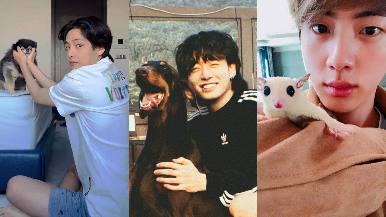 From V-Yeontan to Jungkook-Bam, BTS with their supremely adorable pets 