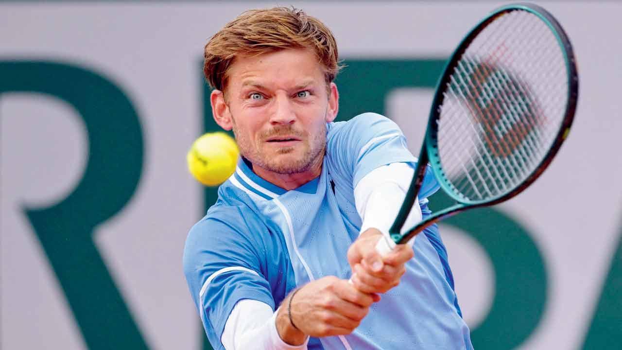 Goffin claims spectator spat chewing gum at him