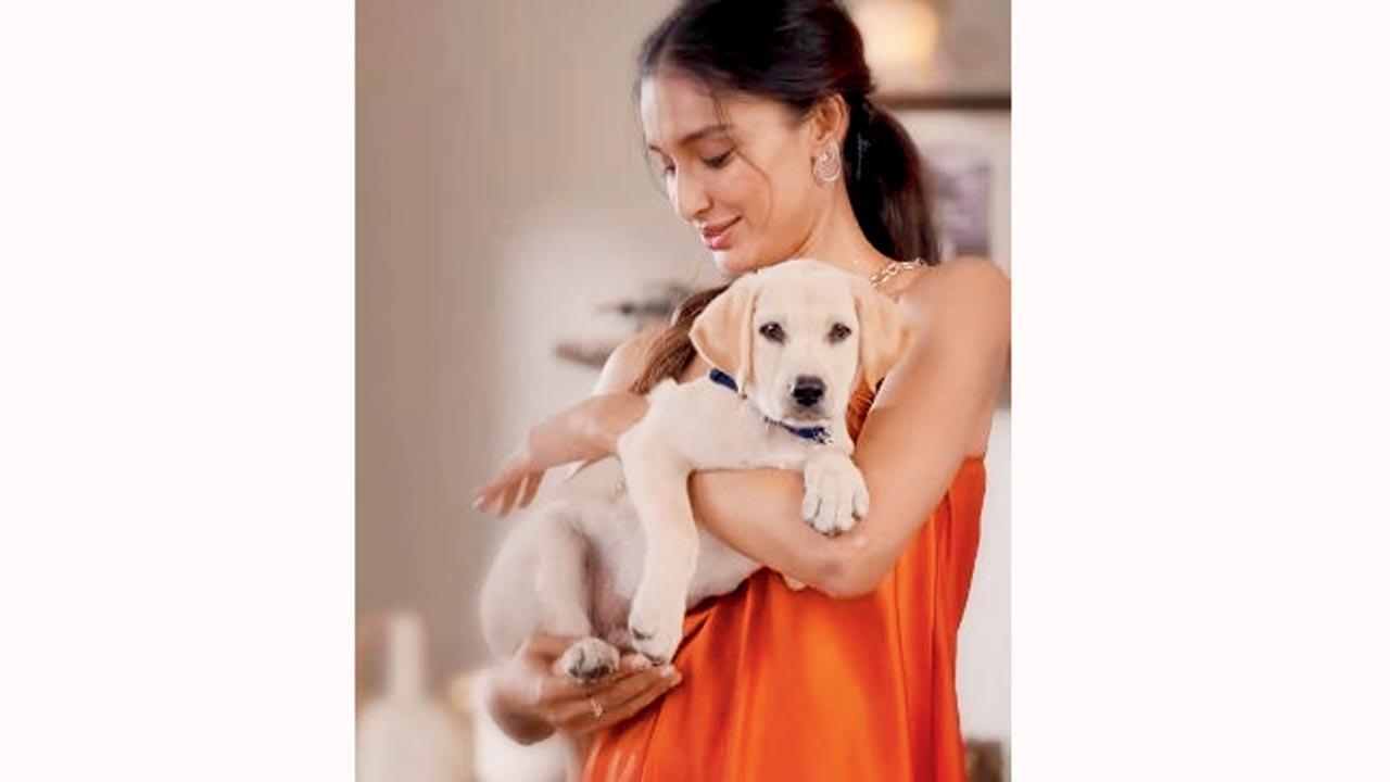 Tanishq’s ad for diamonds celebrated the rising family-structure that puts pets at its centre