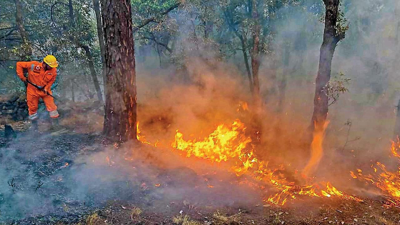 SC scorches Uttarakhand govt over forest fire negligence