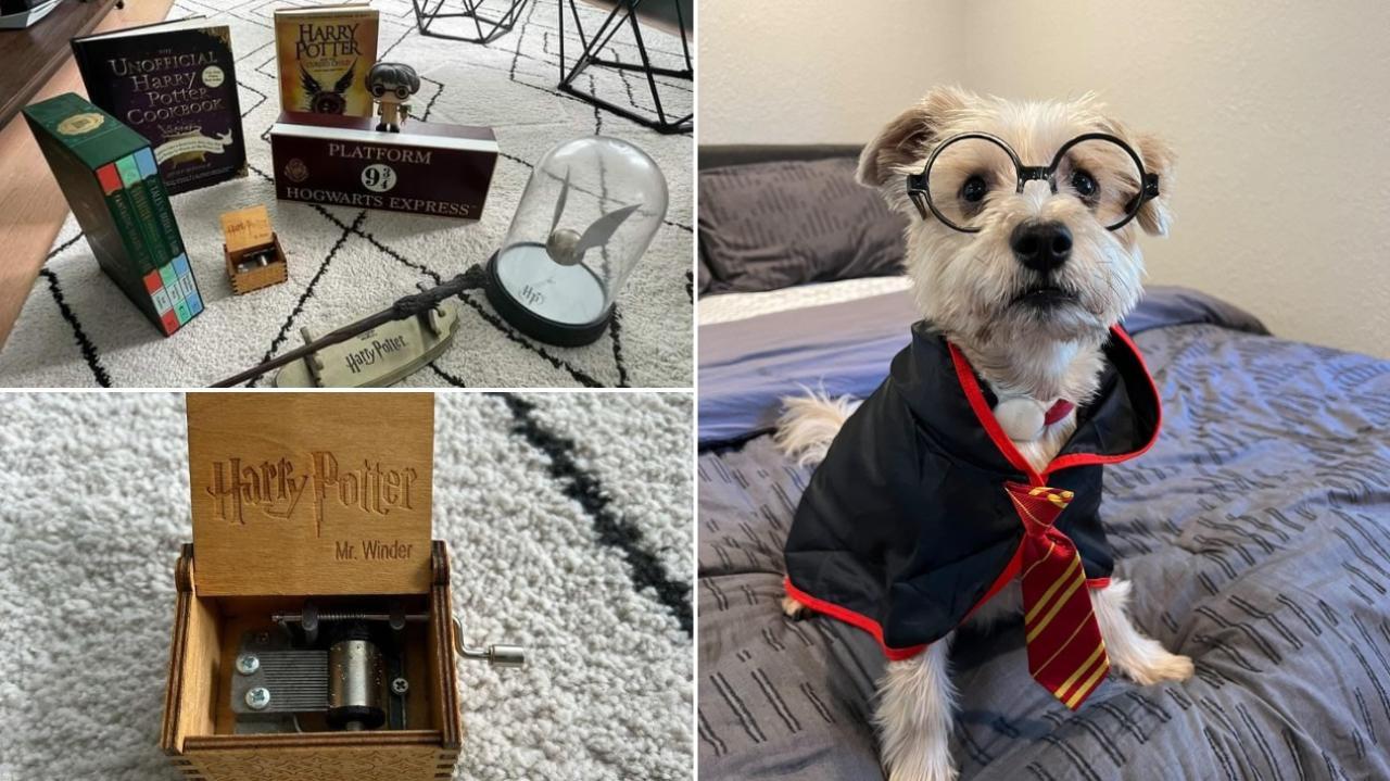 12 books, 2 figurines, Wand, Mandrake, Platform 9 and 3/4th sign, and music box: Looking for Mumbai's biggest Harry Potter fan 