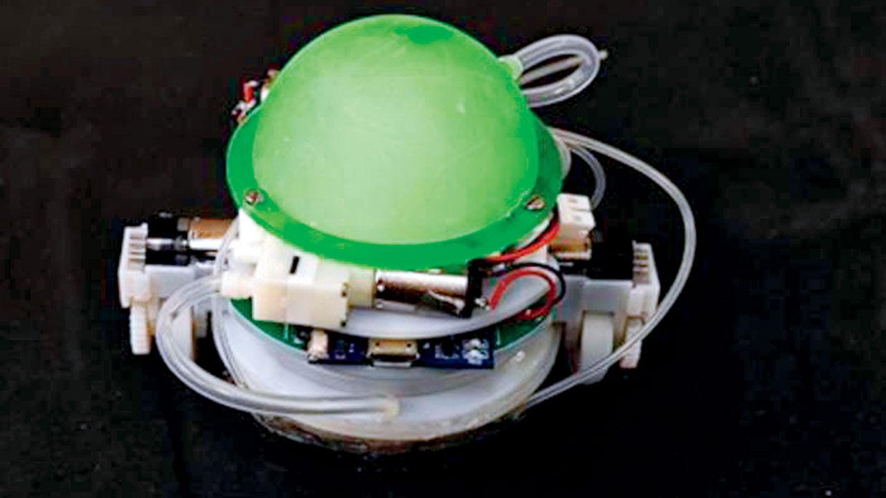 Pic/EurekAlert