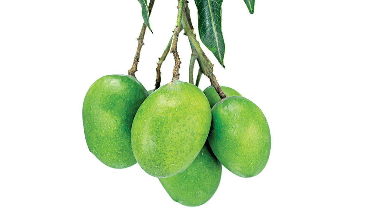 Celebrate mangoes by ordering these home-style delicacies