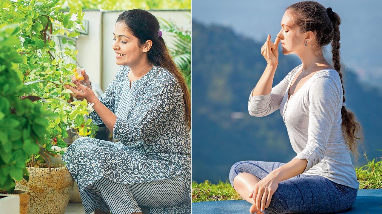 Activities like gardening can also be a form of meditation; (right) Practising slow guided breathing through pranayam can relieve work-related stress. Representation pics
