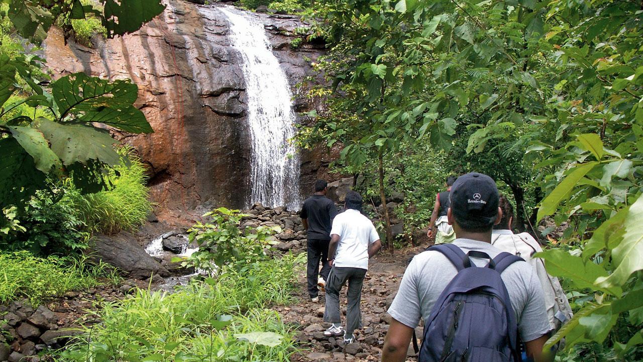 3 trips to sign up for this monsoon season