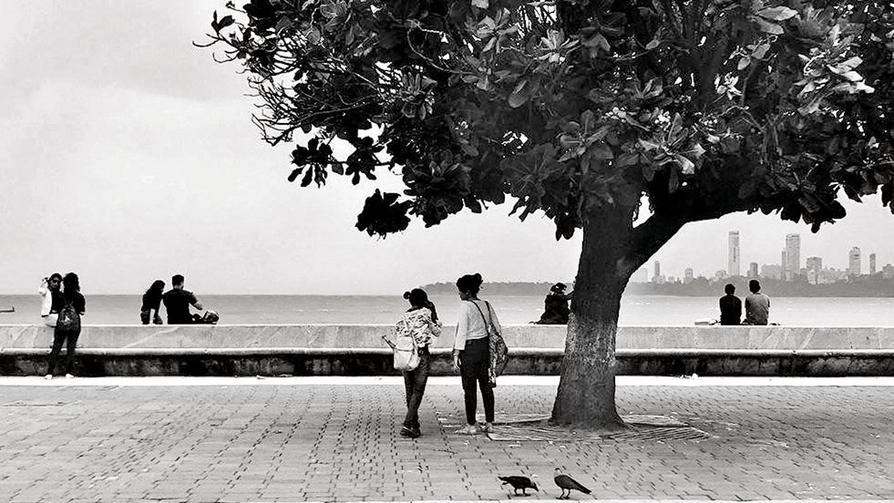 A photograph from the book, which features different kinds of couples, including a pair of crows