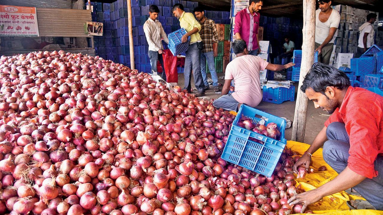 Lok Sabha elections 2024: All eyes on onion territory