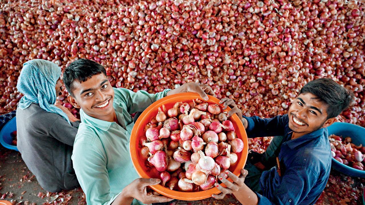 Exclusive Maharashtra Pop up onion market in Lasalgaon upsets cart