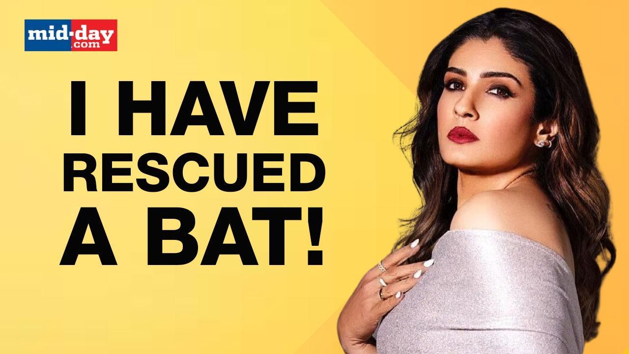 Raveena Tandon offers tips on how to handle stray animals during summer season
