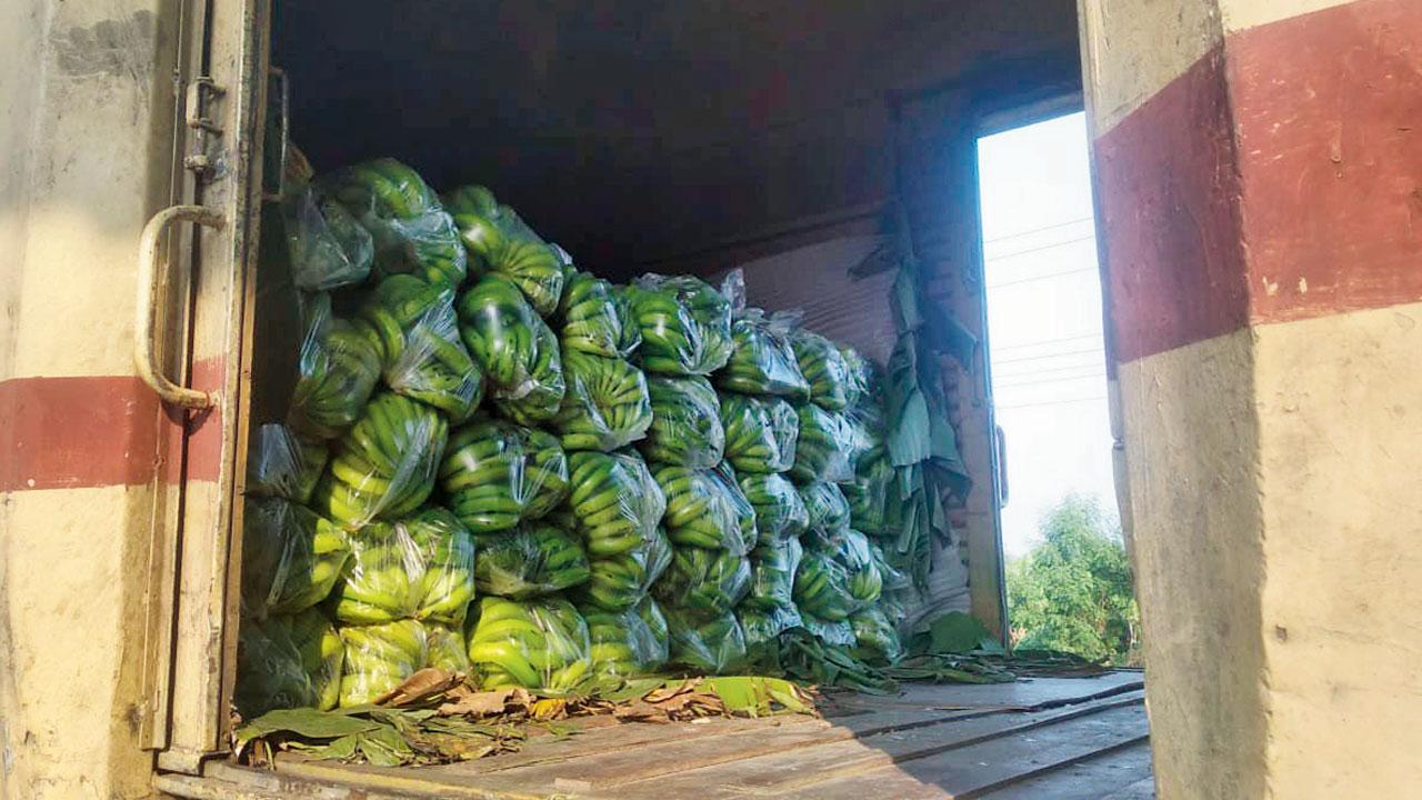 Bananas headed for Delhi loaded at Raver in Jalgaon district. Pic/Railways