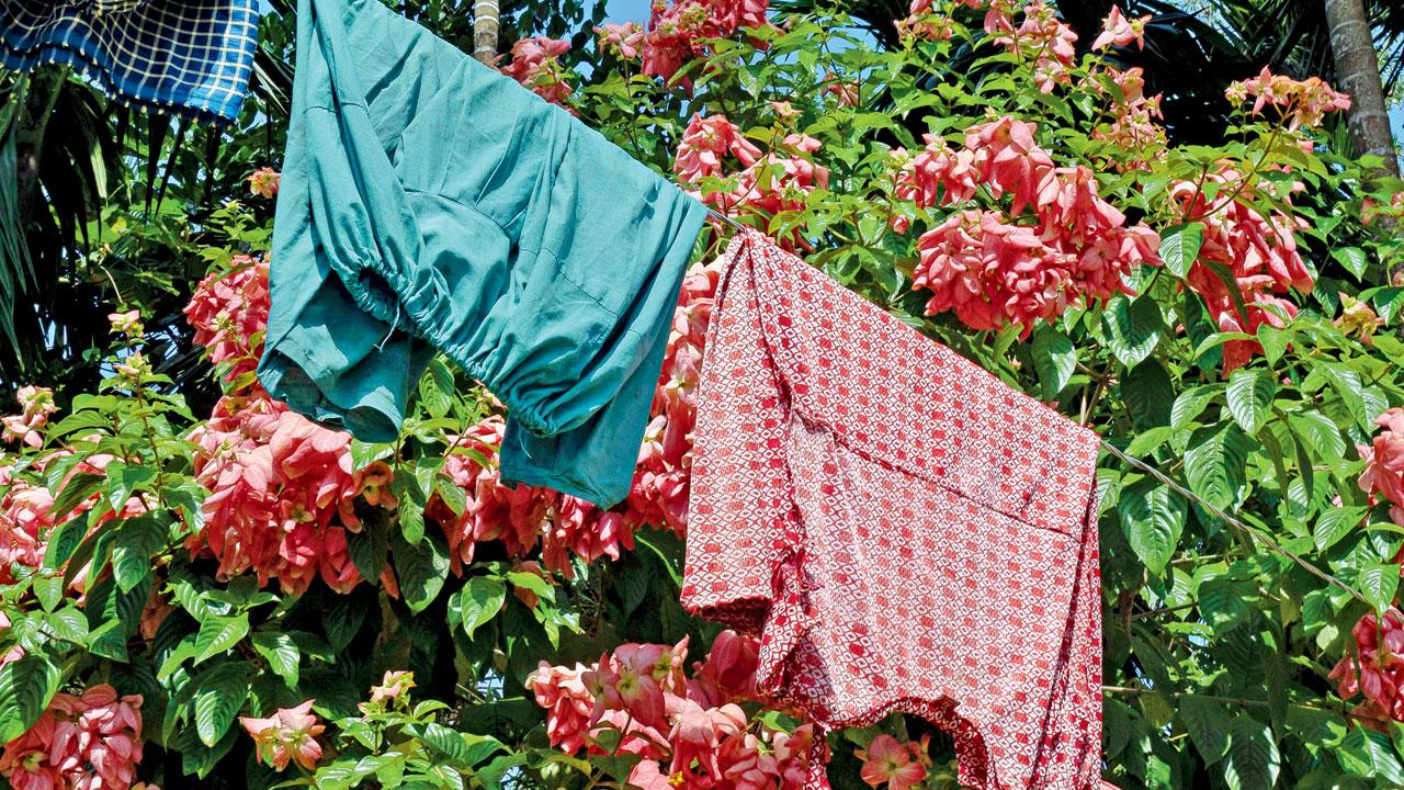 The clothesline that Khosla spotted at the West Garo Hills