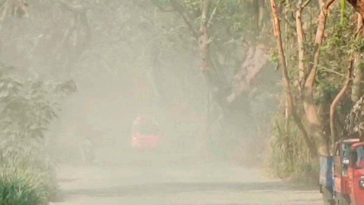 Locals say they have been complaining for years about the dusty road between Aarey market and Royal Palms. File pic
