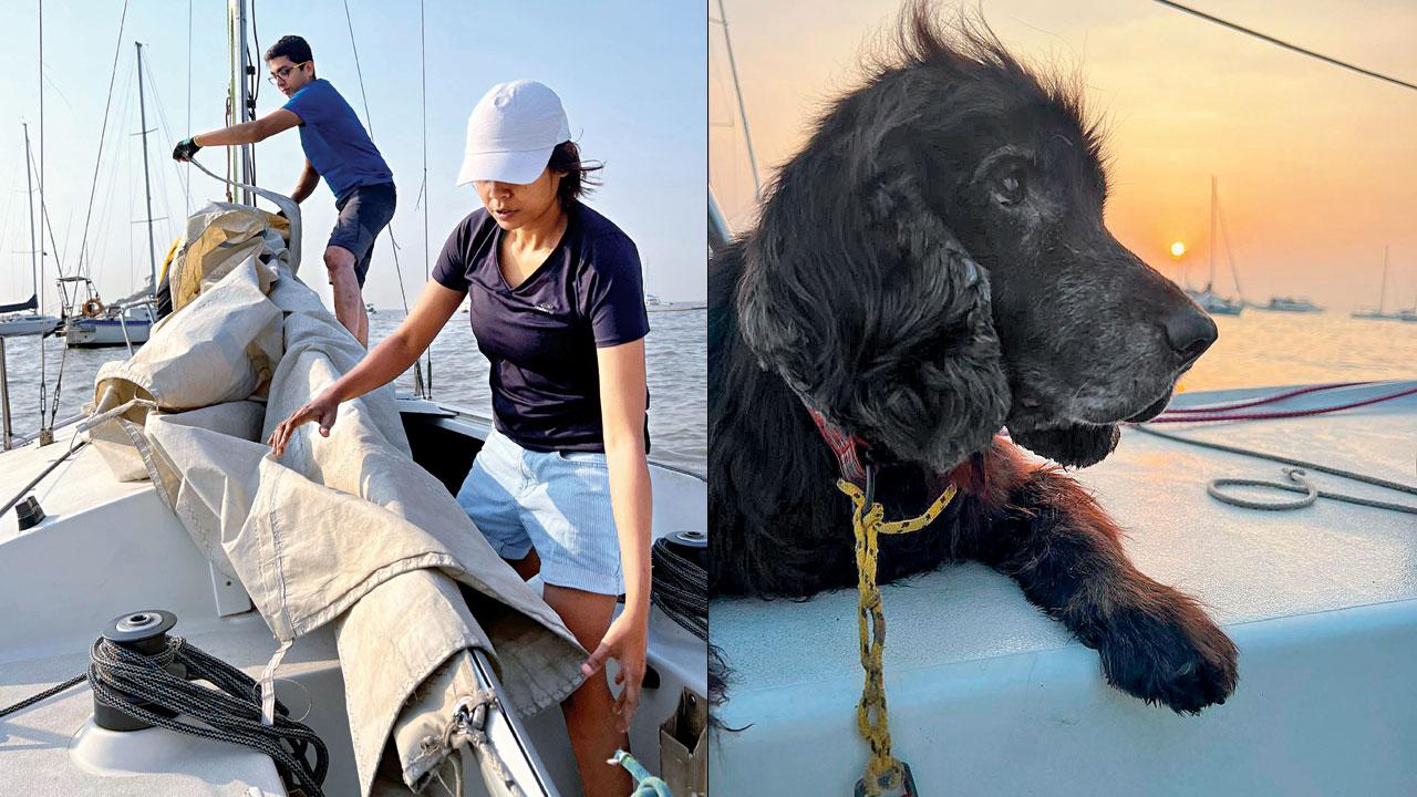 A moment from a previous session (right) The activity is pet-friendly