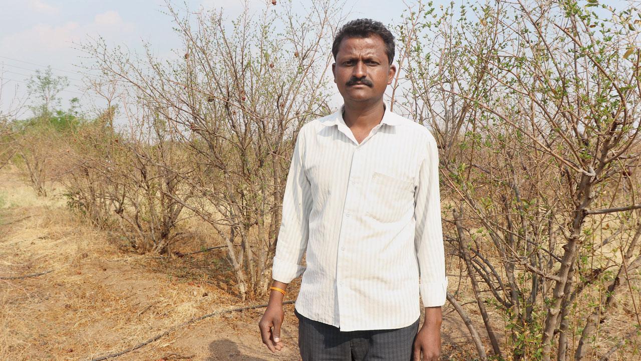 Jamgund at his pomegranate farm in Dharibadchi village