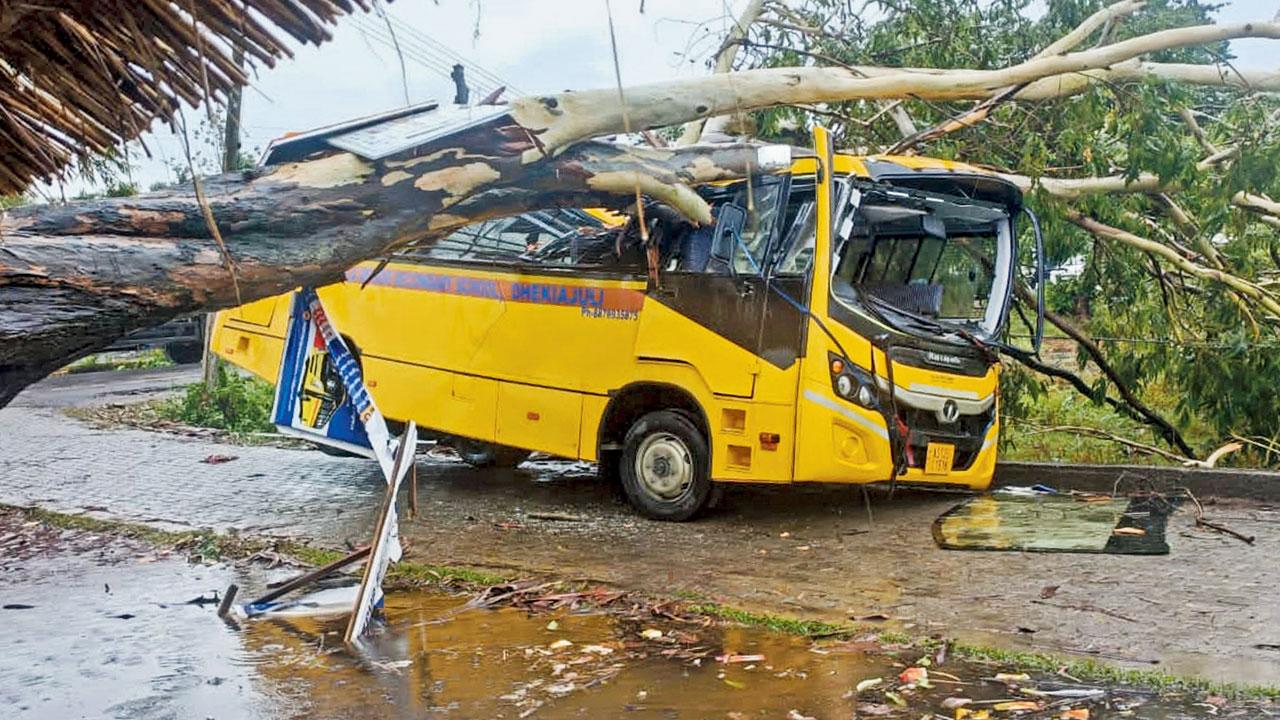 A school bus damaged by a tree that fell in a storm