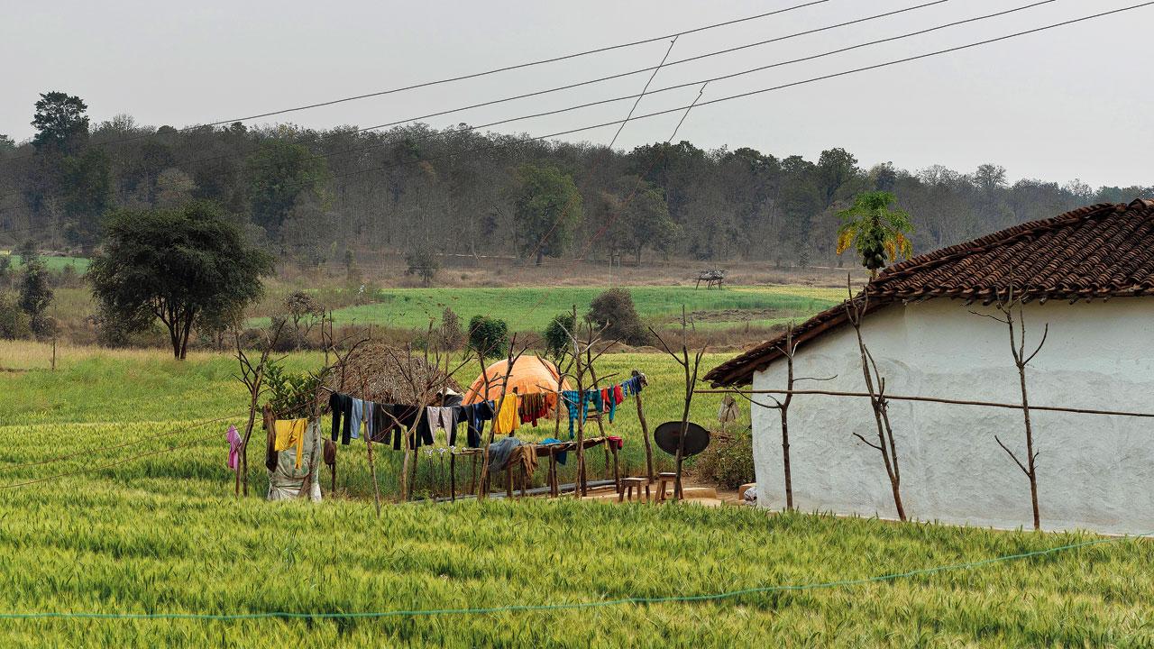 A solitary hut and a clothesline in Pench’s tiger territory