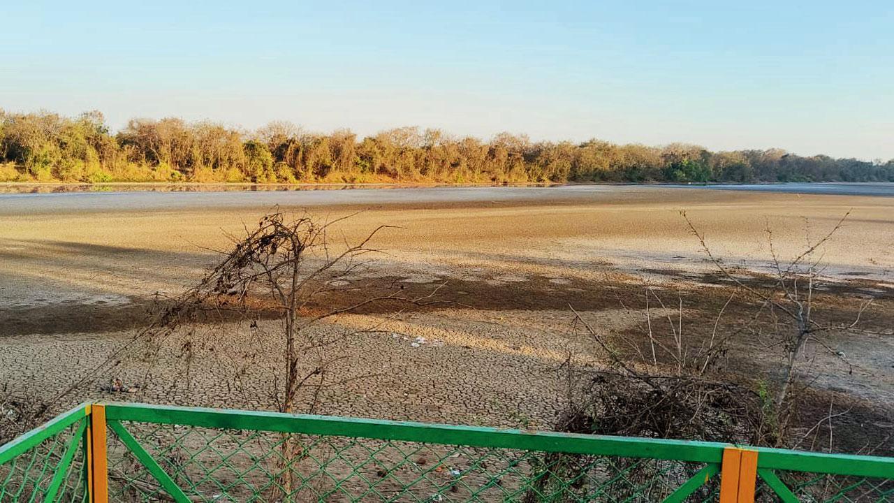 Mumbai: Official inspection confirms water inlets blocked at DPS Flamingo lake