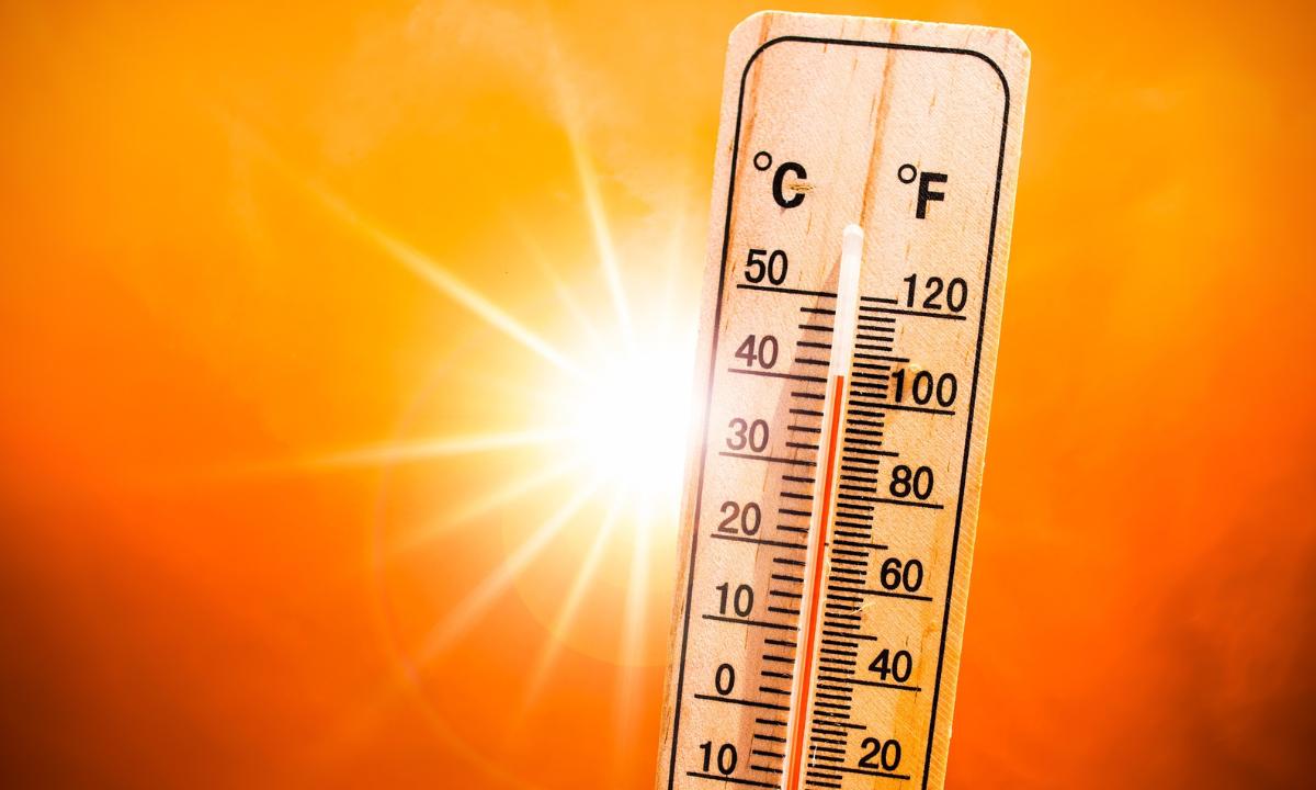 Heatwave expected during the day, with a high of approximately 44 degrees