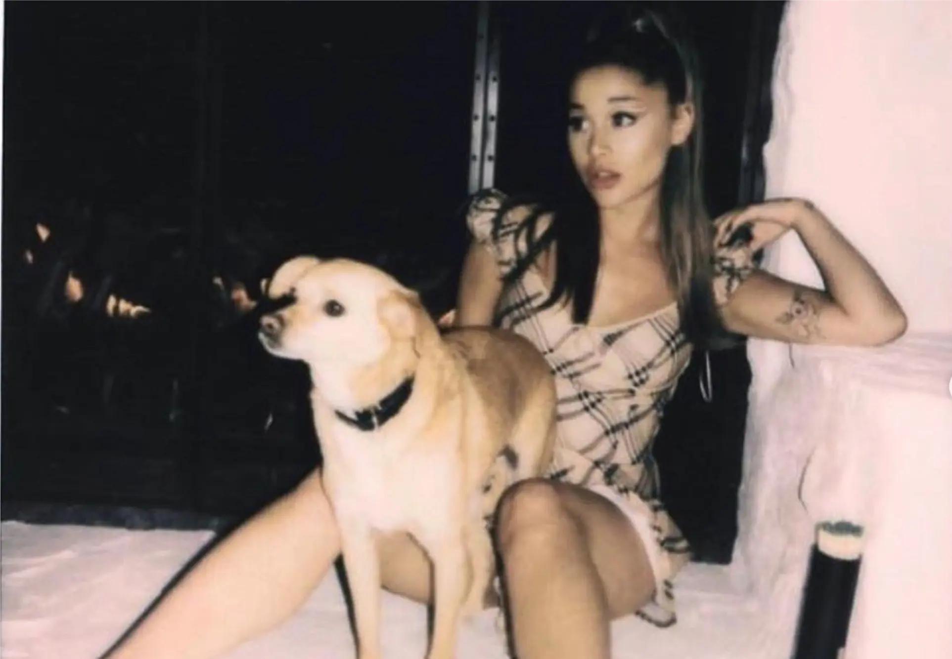 Ariana Grande has nine dogs right now. Their names are Coco, Toulouse, Cinnamon, Strauss, Lafayette, Pignoli, Myron, Snape, and Lily.