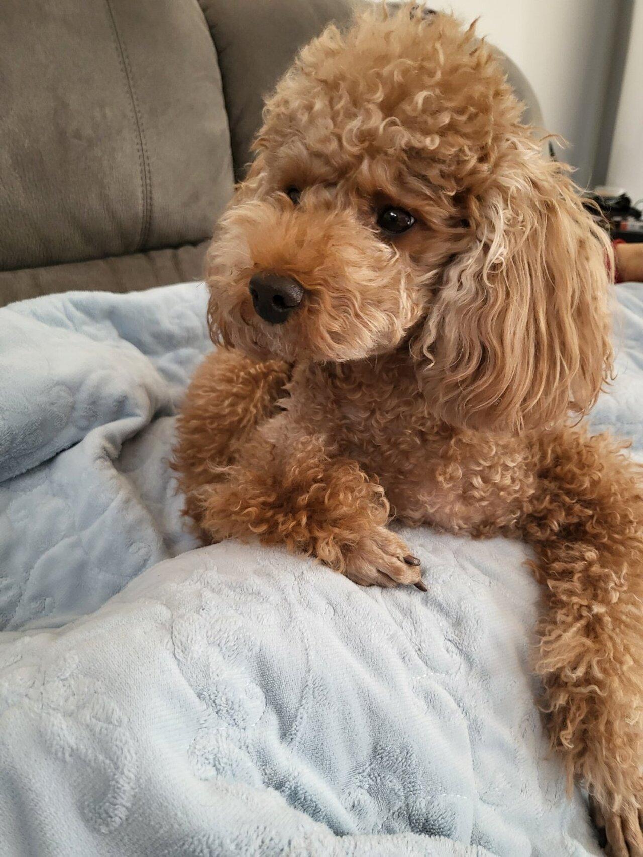 Back in 2016, he shared a picture of the munchkin and wrote, “Holly only likes the person giving food.”