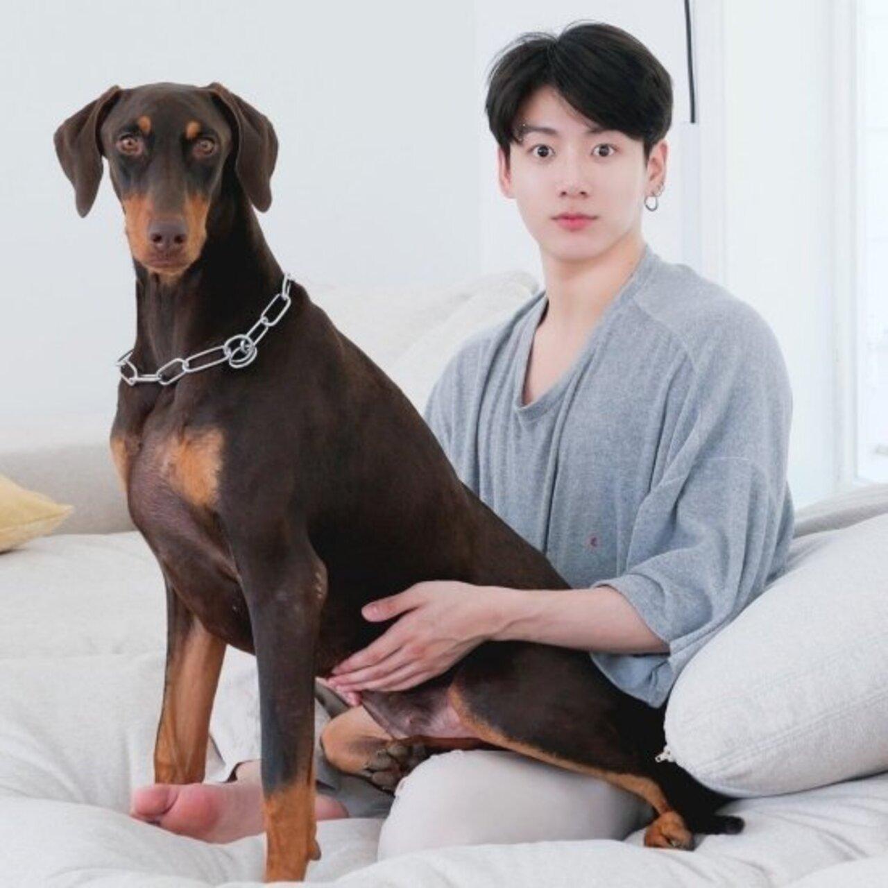 Jungkook’s Doberman Bam is a bonafide eighth member of the BTS boy band. 