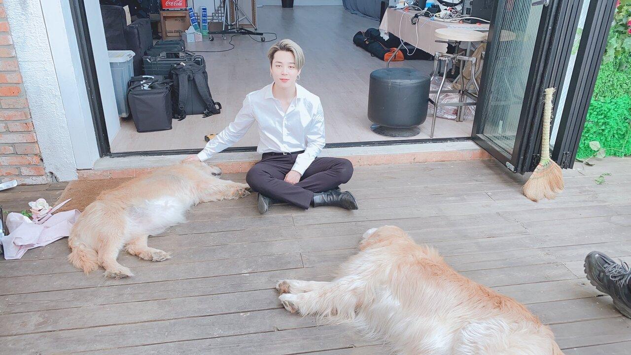 Earlier, Jimin had a pit bull terrier and Korean jindo mix named Ddosun who passed away. 