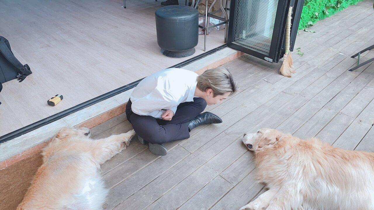 The singer was spotted with two golden retrievers. However, it is not known if they belong to him. 
