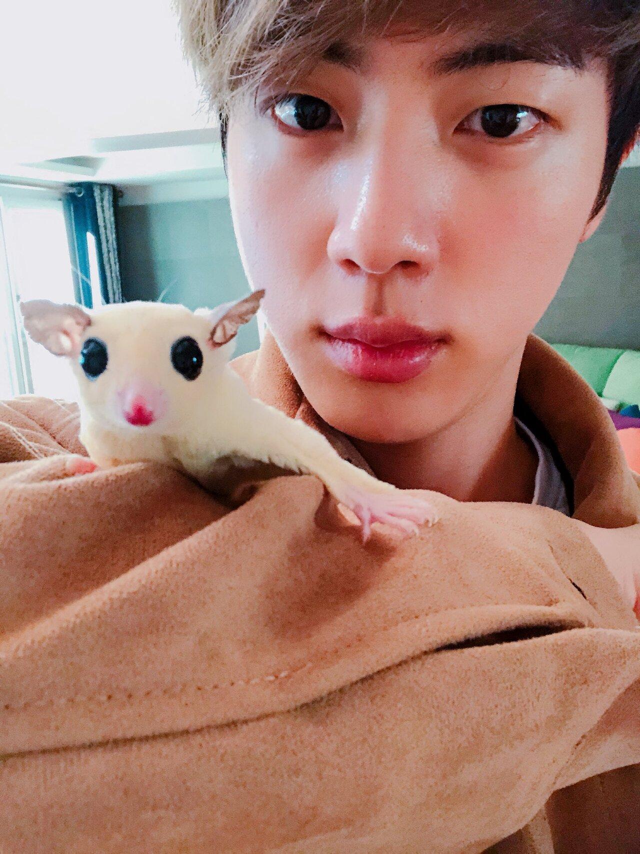Jin’s rescue white Maltese dog named Jjangu passed away. He was a dad to sugar gliders named Odeng, Eomuk, and Gokmul.
