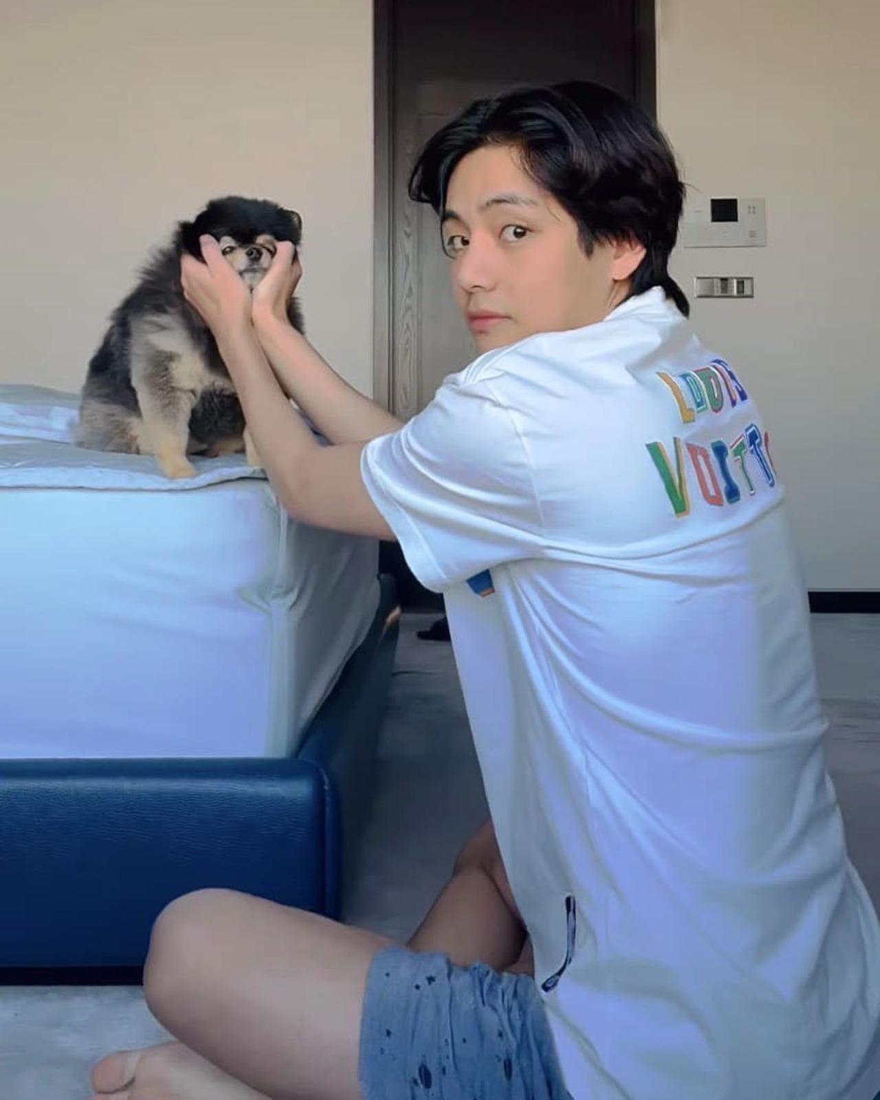 V is known to have several pets, however, he is incredibly close to Yeontan (nicknamed Tannie). 