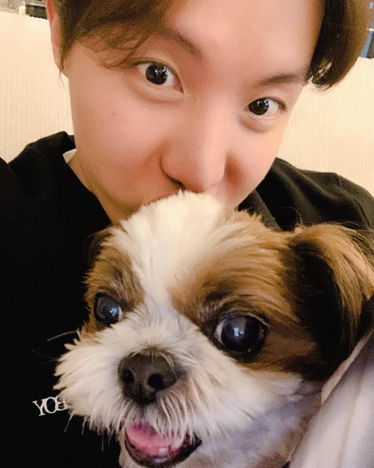 J-Hope has a Shih Tzu named Mickey.