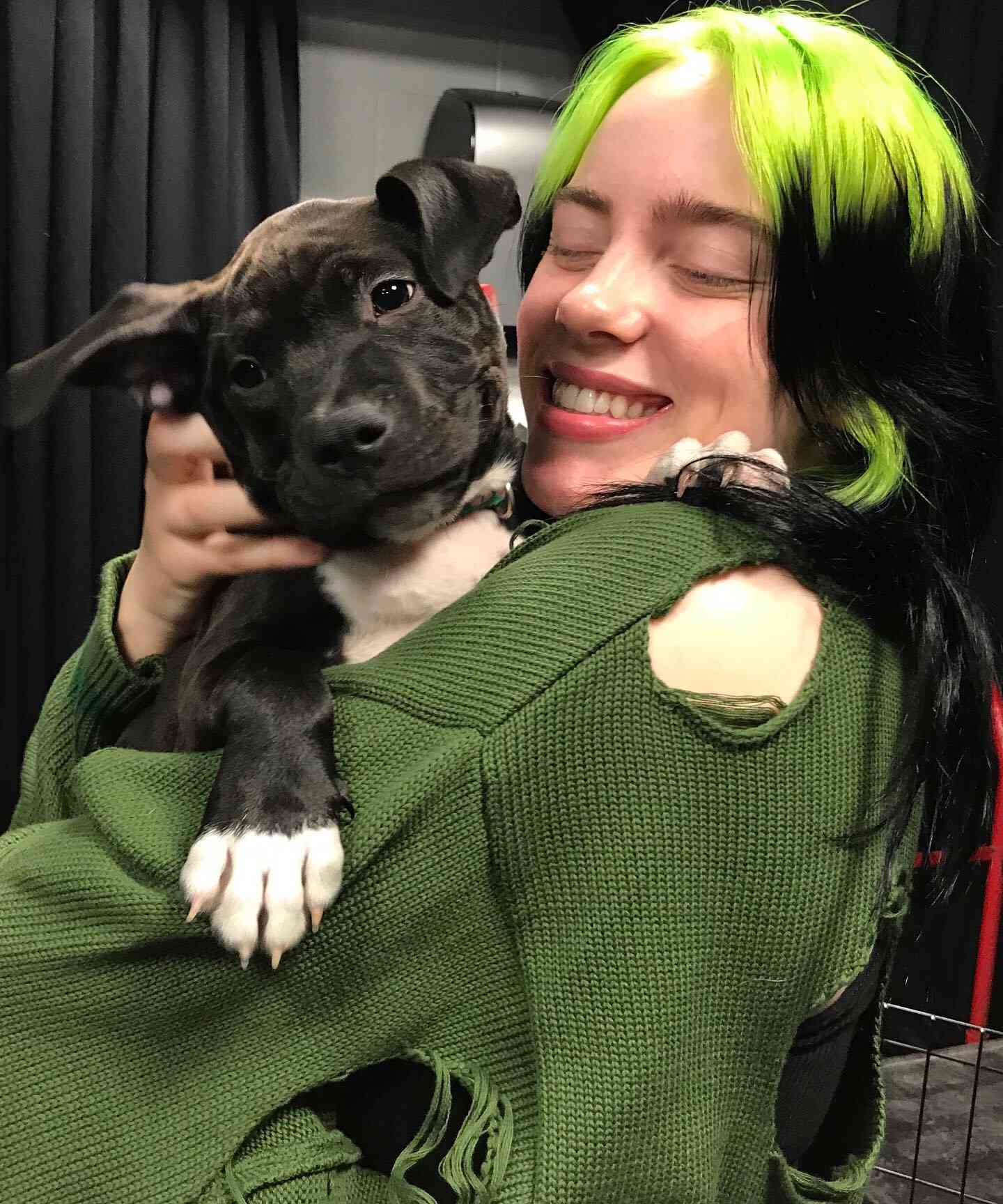Billie Eilish is a proud mom to two dogs. There's her family dog, Pepper, who she grew up with. In 2020, she adopted a Pit Bull puppy.